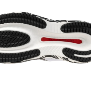 WAVE RIDER 30 DISCLOSURE RUNNING MIZUNO